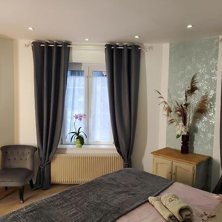 Mirka & Franck Apartment Chic 4 Stars Parking Free Colmar Eksteriør bilde