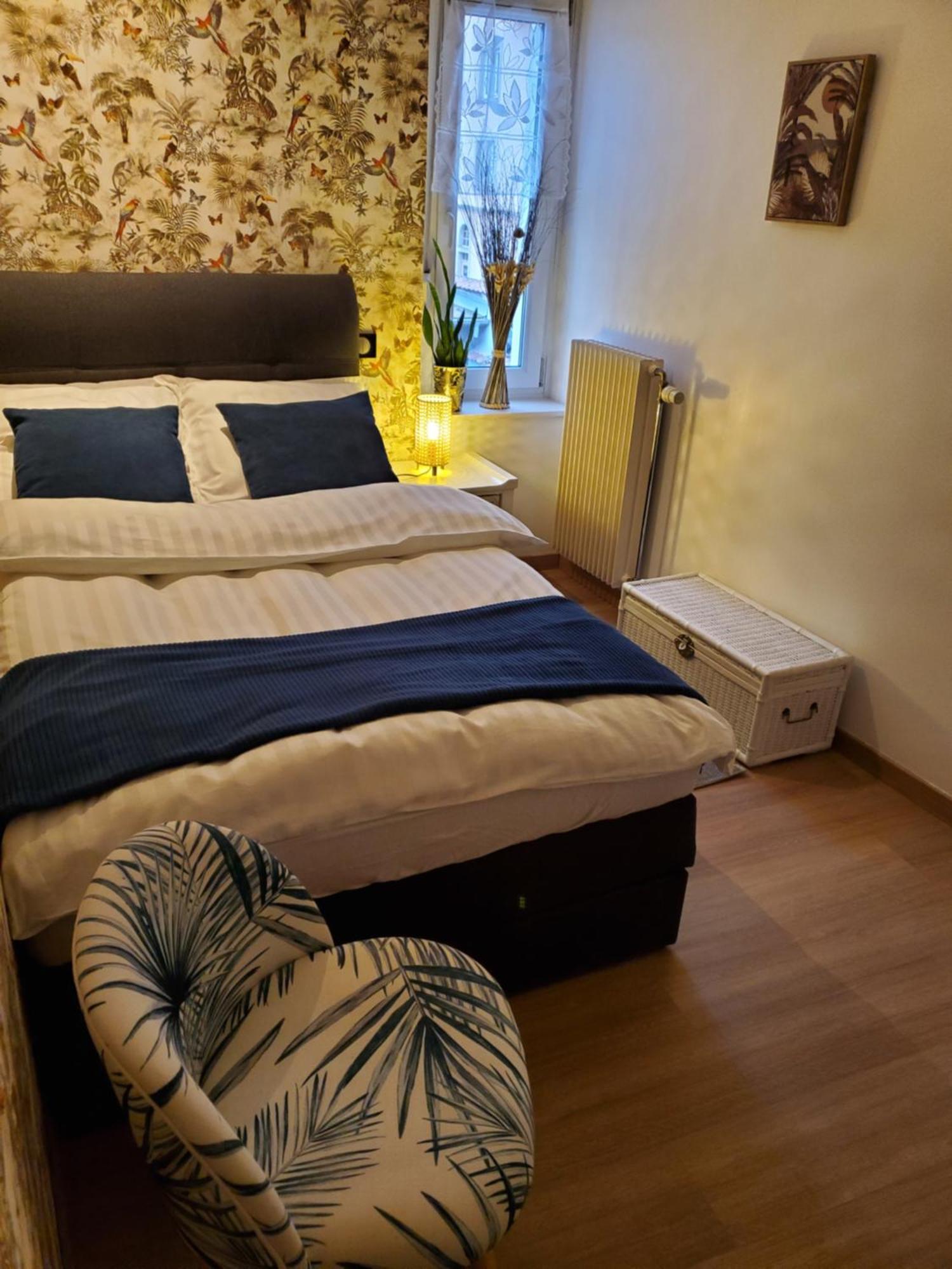 Mirka & Franck Apartment Chic 4 Stars Parking Free Colmar Eksteriør bilde