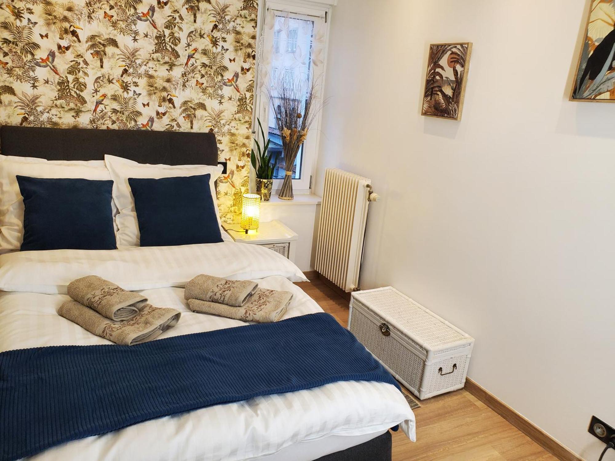 Mirka & Franck Apartment Chic 4 Stars Parking Free Colmar Eksteriør bilde